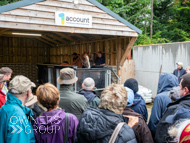 WG031025-91 - Margaret'ts Legacy on the water treadmill
